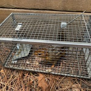 Meet your Posher, Paul